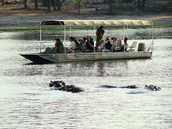 3-Day Wildlife Combo – Victoria Falls & Chobe Safari