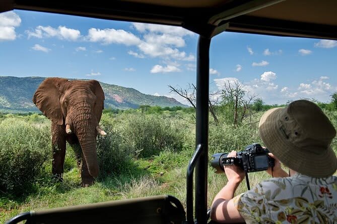 Day 2 - Sunrise Safari and Departure