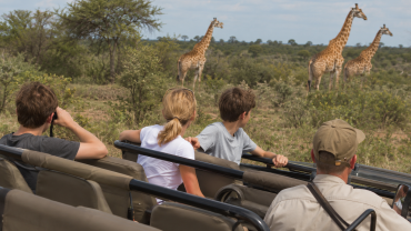 Safari with Teenagers