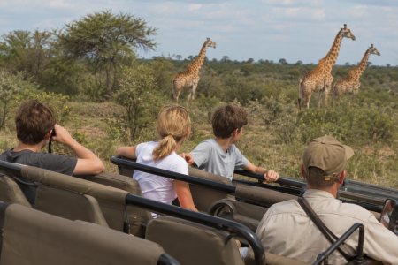 Safari with Teenagers