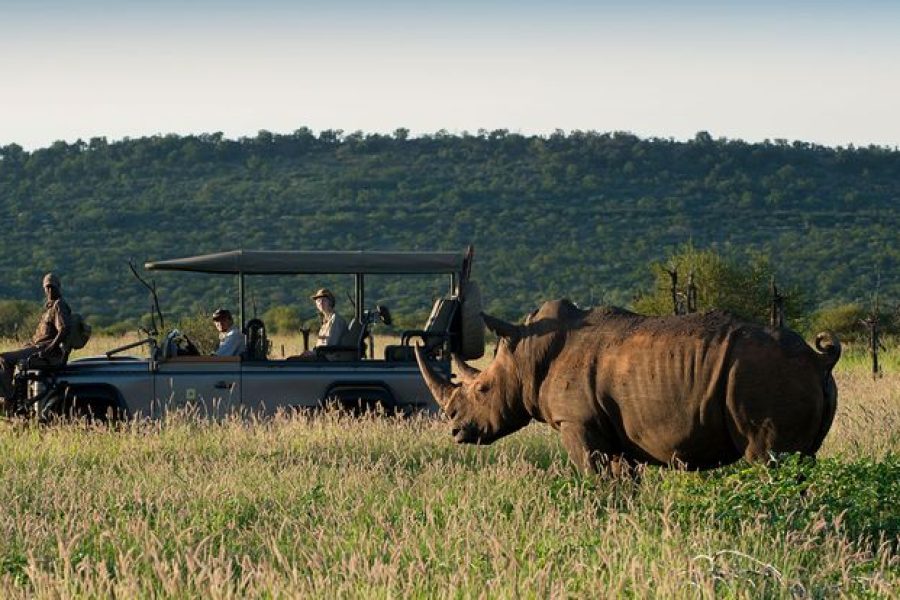 madikwe big five safari