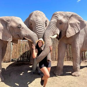 Are Short Safaris Worth the Money