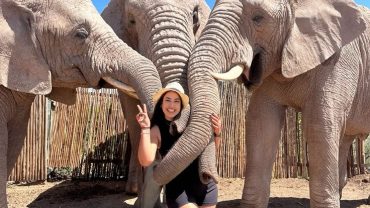 Are Short Safaris Worth the Money