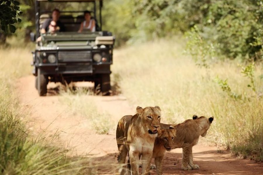 Kruger safari & Eswatini cultural explore