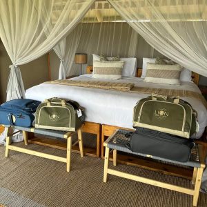 Family packing Safari