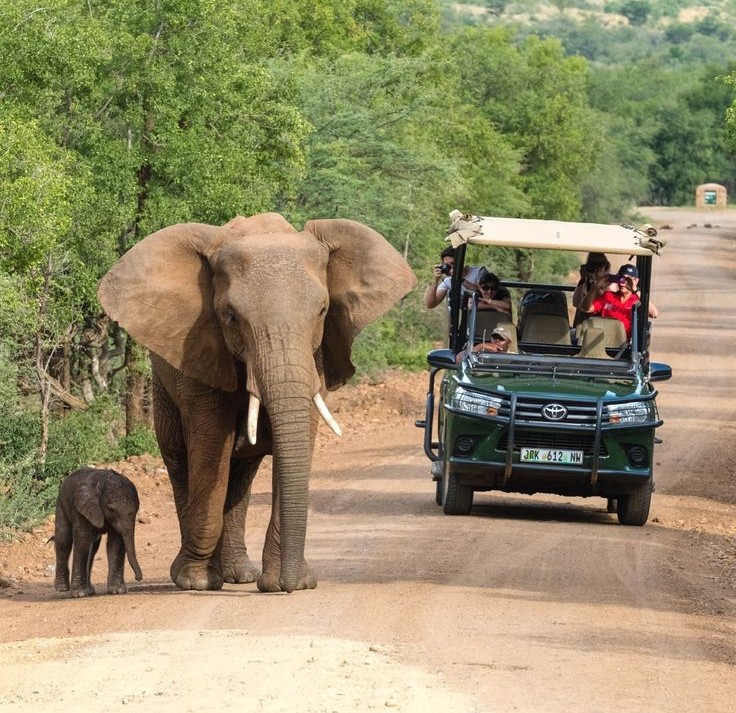 Day 2 - Sunrise Safari and Departure