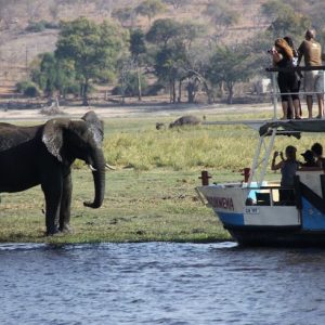 3-Day Wildlife Combo – Victoria Falls & Chobe Safari