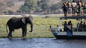 3-Day Wildlife Combo – Victoria Falls & Chobe Safari