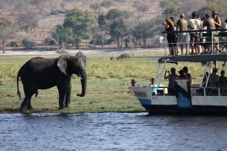 3-Day Wildlife Combo – Victoria Falls & Chobe Safari