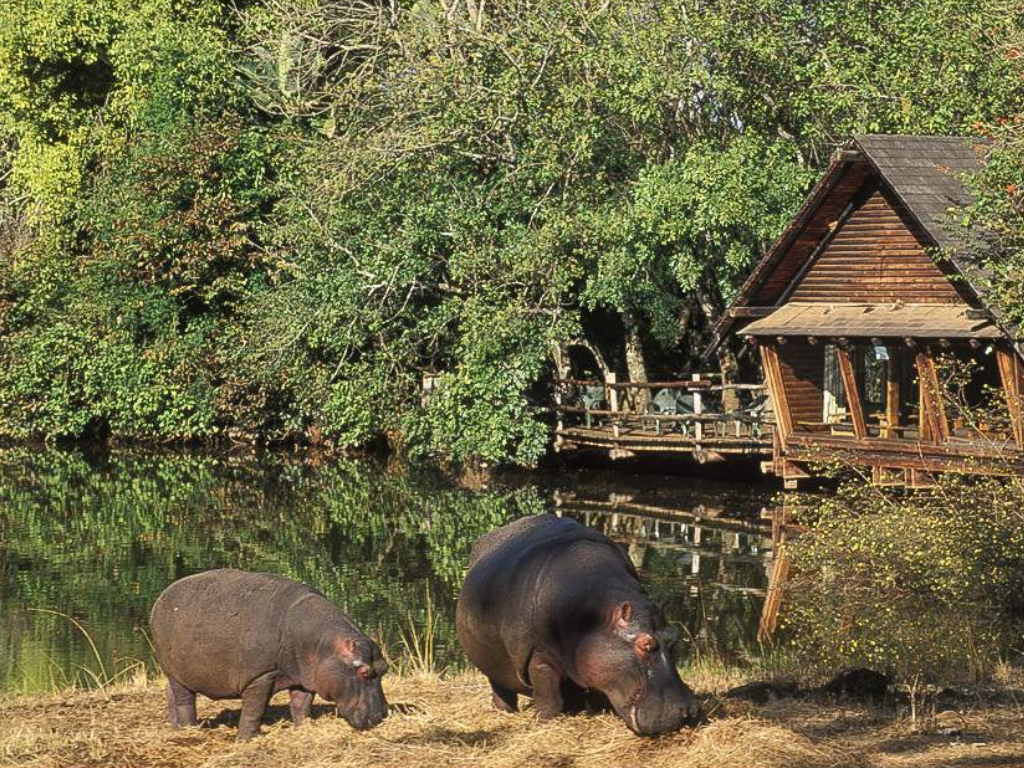 Knap Tours | Safaris & City Tours in South Africa, Botswana, Namibia & Victoria Falls