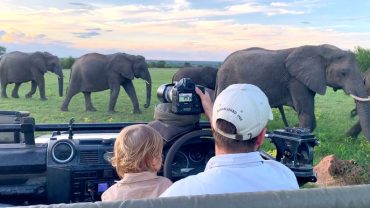 Family Safari