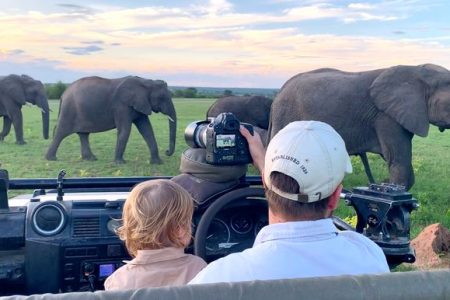 Family Safari