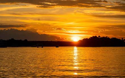 Day 4 - Sunrise Safari & Victoria Falls