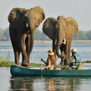 How to Plan a Short Botswana Safari