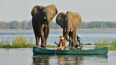 How to Plan a Short Botswana Safari