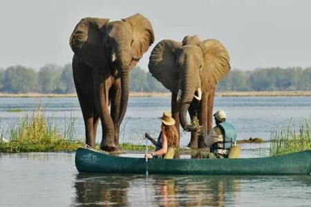 How to Plan a Short Botswana Safari