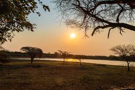 Day 4-Sunrise Safari & Game Walk