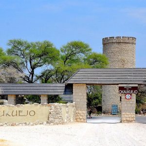 2-Day Etosha Safari from Windhoek