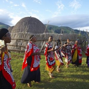 Best Wildlife Experiences in Eswatini