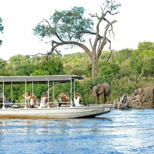 1-Day Wild Chobe Big Five Safari – Kasane Pickup