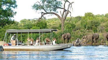 1-Day Wild Chobe Big Five Safari – Kasane Pickup