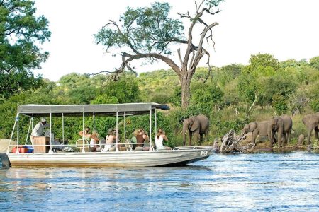 1-Day Wild Chobe Big Five Safari – Kasane Pickup