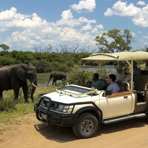 1-Day Wild Chobe Big Five Safari – Kasane Pickup