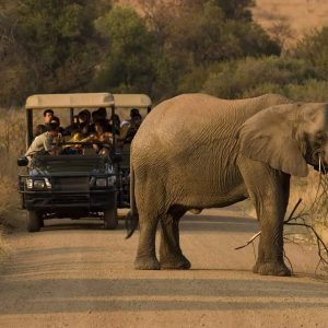 What Is the Safest Way to Travel Between Game Reserves