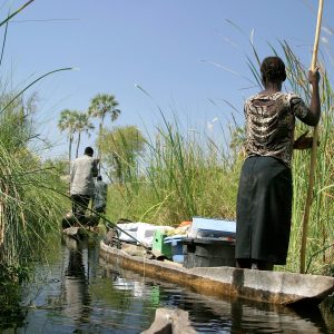 Cost of a 2–3 Day Safari in Botswana