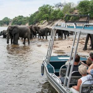 Cost of a 2–3 Day Safari in Botswana