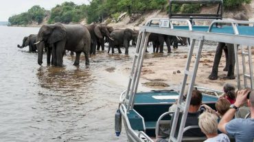 Cost of a 2–3 Day Safari in Botswana
