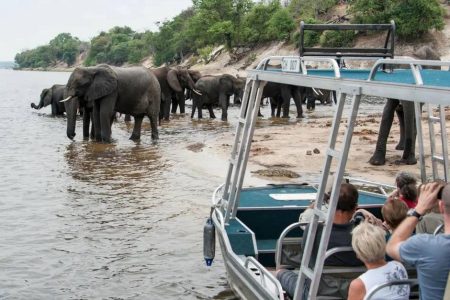 Cost of a 2–3 Day Safari in Botswana