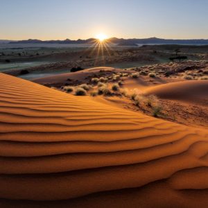 Etosha vs Sossusvlei