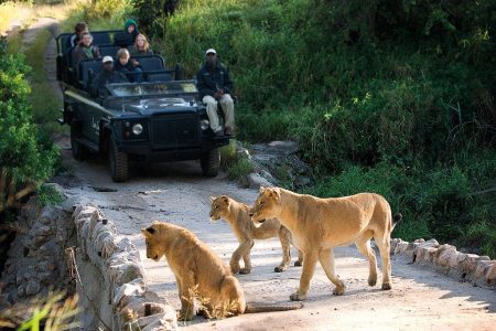What Is the Safest Way to Travel Between Game Reserves
