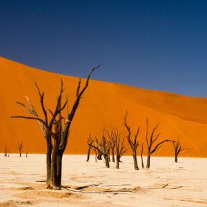 Short Trips in Namibia for First-Time Visitors