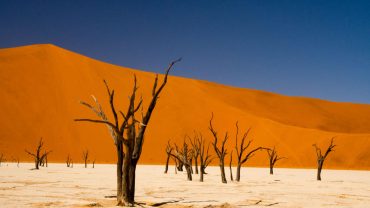 Short Trips in Namibia for First-Time Visitors