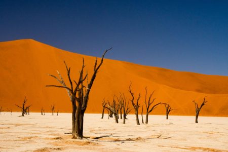 Short Trips in Namibia for First-Time Visitors