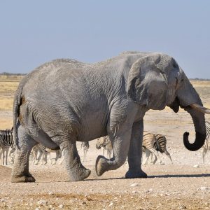 Short Trips in Namibia for First-Time Visitors
