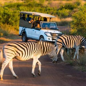 What’s Included in Short Safari Packages