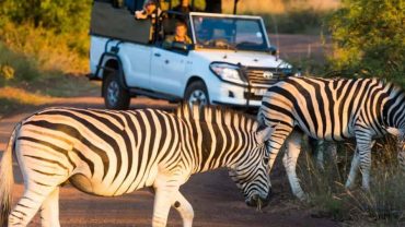 What’s Included in Short Safari Packages