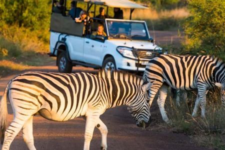 What’s Included in Short Safari Packages