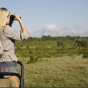 Tourist on a full day kruger National Park safari