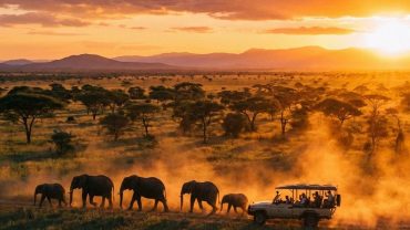 Best 2–3 Day Safari in South Africa