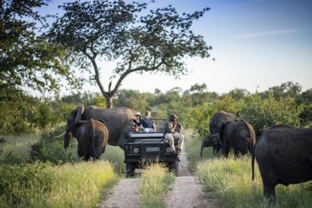 Budget vs Luxury Short Safari in South Africa