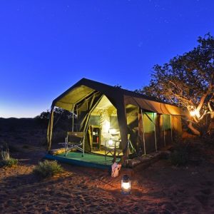 Best 2–3 Day Safari in South Africa